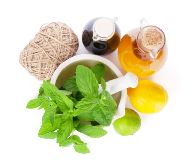 Taze otlar ve baharatlar