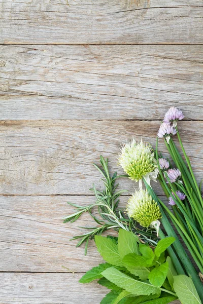 Świeże zioła i przyprawy na stół ogrodowy — Zdjęcie stockowe