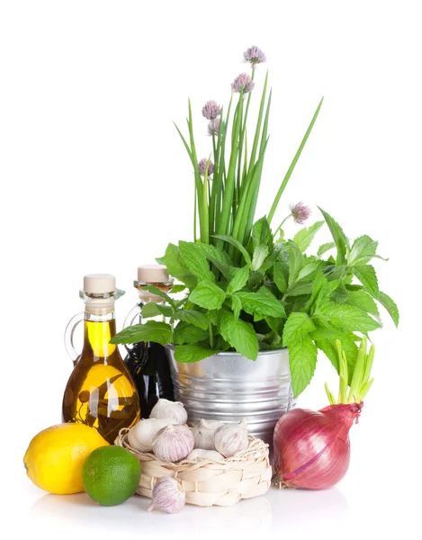 Fresh herbs and spices — Stock Photo, Image