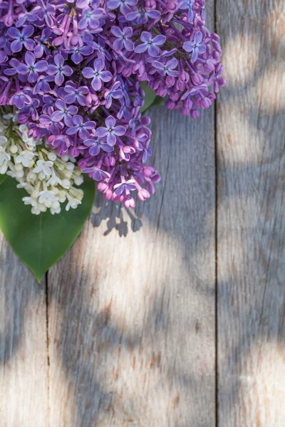 Kleurrijke lila bloemen op tuinmeubelen — Stockfoto