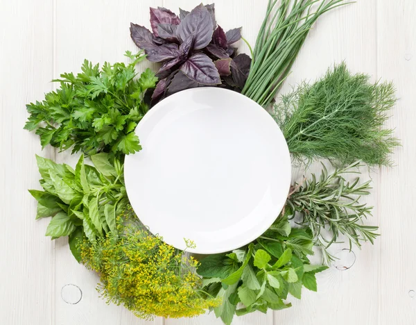 Herbal kebun segar dan piring kosong — Stok Foto