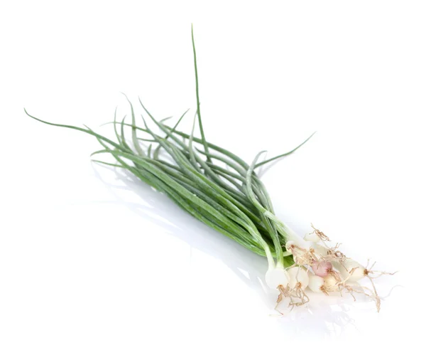 Fresh garden herbs. Spring onion — Stock Photo, Image