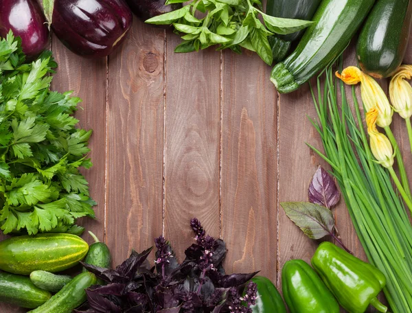 Verse boeren tuin groenten — Stockfoto