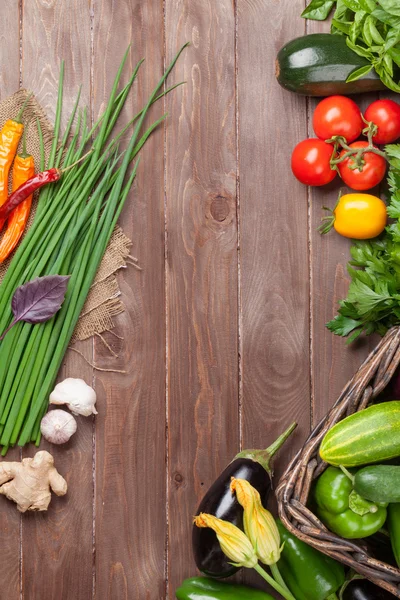 Fresh farmers garden vegetables — Stock Photo, Image