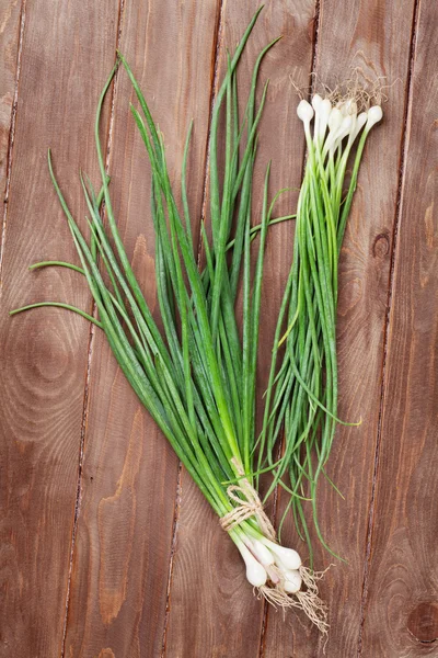 Cebola de primavera de jardim fresco — Fotografia de Stock