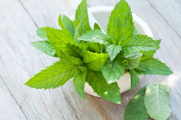 Harç içinde taze nane