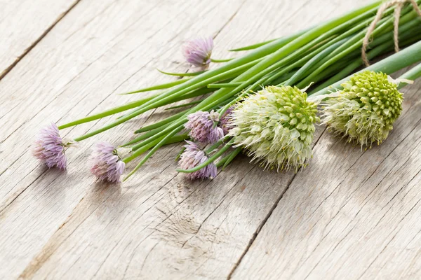 Fresh garden spring onion — Stock Photo, Image