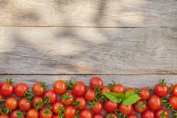 Tomates cereja maduros e manjericão — Fotografia de Stock