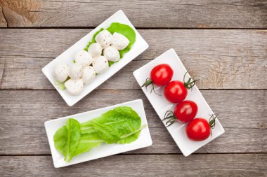 Tomatoes, mozzarella and green salad leaves clipart