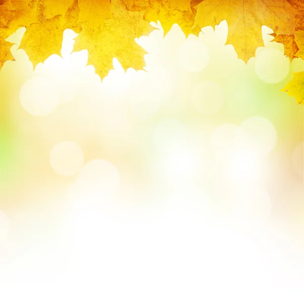 Herbst Hintergrund mit Ahornblättern — Stockfoto