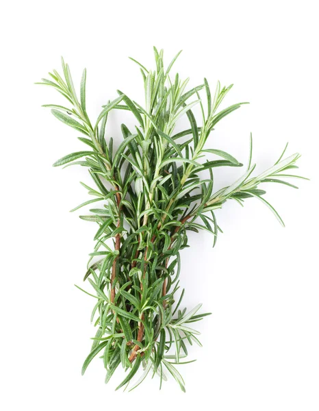 Fresh garden herbs. Rosemary — Stock Photo, Image