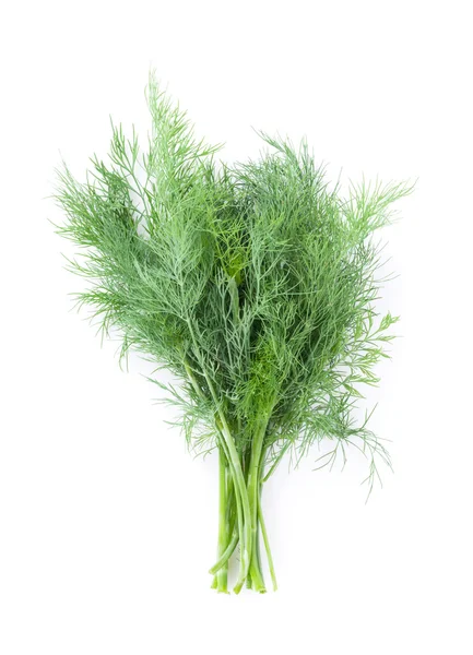 Frische Gartenkräuter. Dill — Stockfoto