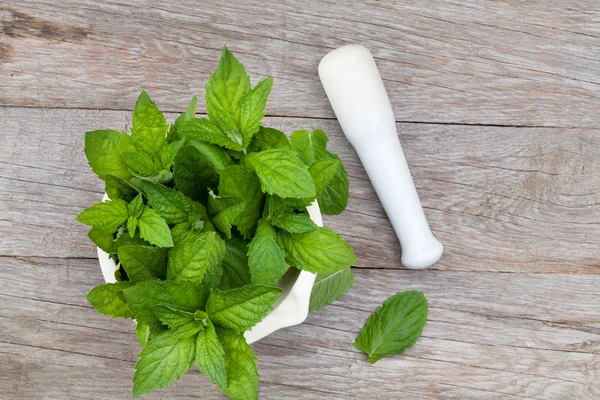 Menta fresca em argamassa na mesa de jardim — Fotografia de Stock