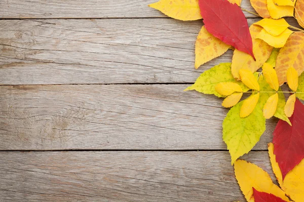 Folhas de outono coloridas no fundo — Fotografia de Stock