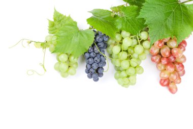 Kırmızı, mor ve beyaz üzüm demet