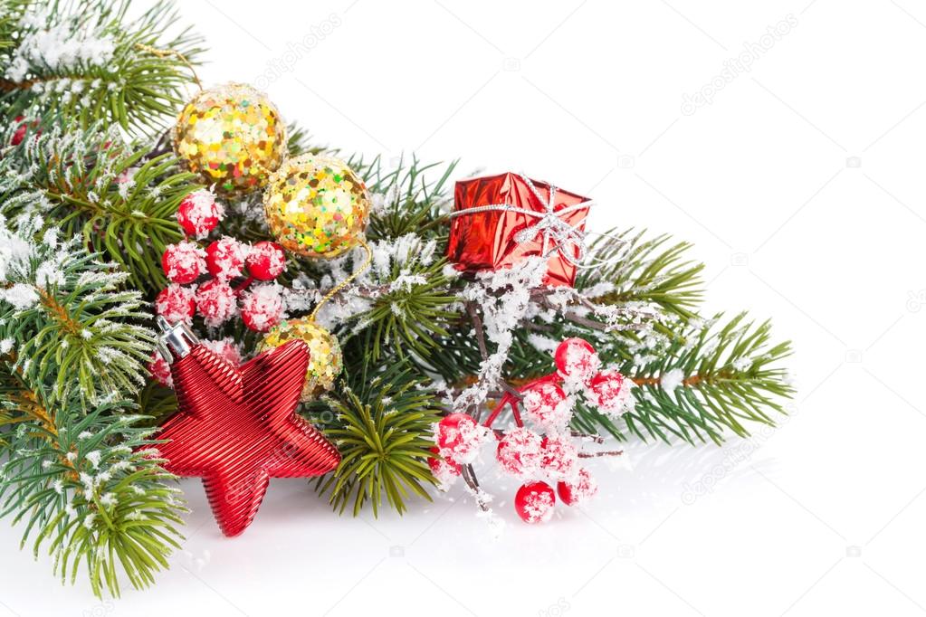 Christmas fir tree branch