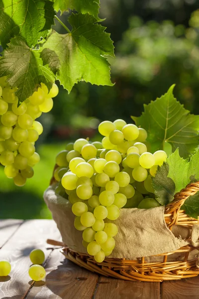 Camarões de uvas brancas — Fotografia de Stock