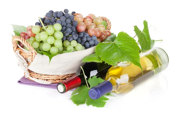 White and red wine bottles and grapes — Stock Photo, Image