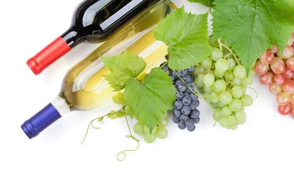 Bunch of grapes and wine bottles — Stock Photo, Image