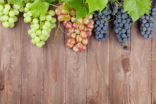 Trauben aus roten, violetten und weißen Trauben — Stockfoto