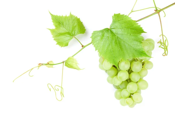 Група білого винограду з листям — стокове фото