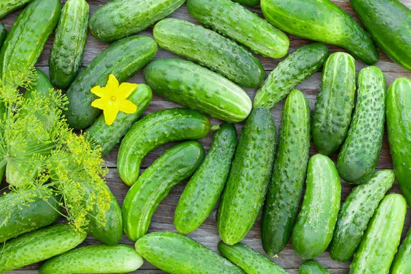 Textura de pepinos maduros —  Fotos de Stock