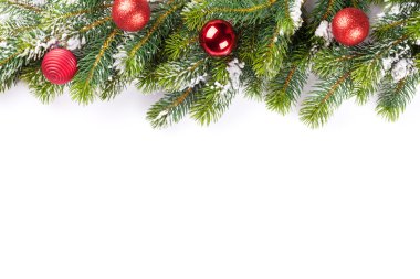 Noel ağacı dalı baubles ile