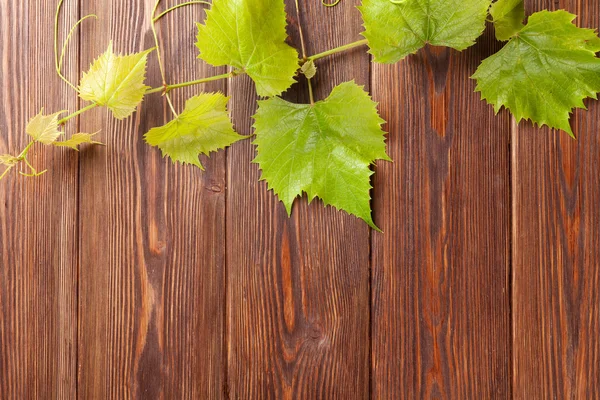 Winogrono winorośli na drewnianym stole — Zdjęcie stockowe