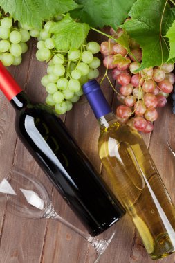 Şarap şişeleri ve üzüm Bahçe masada