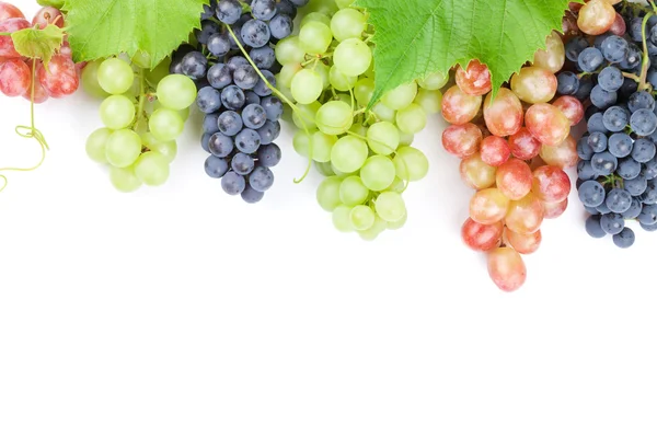 Bando de uvas vermelhas, roxas e brancas — Fotografia de Stock