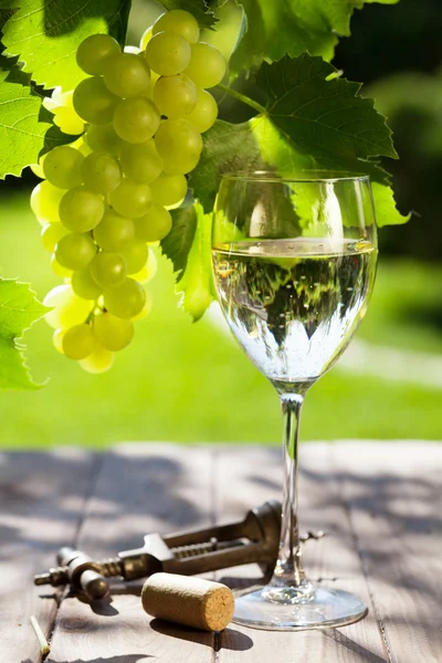 Wine and grapes on garden table — Stock Photo, Image