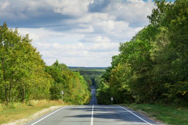 Ormana giden yol.