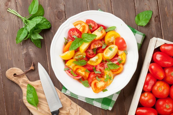 Verse kleurrijke tomaten en basilicum salade — Stockfoto