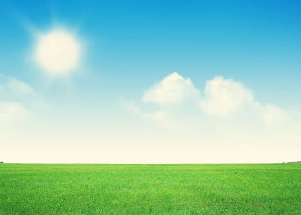 Groen veld en blauwe lucht met wolken — Stockfoto