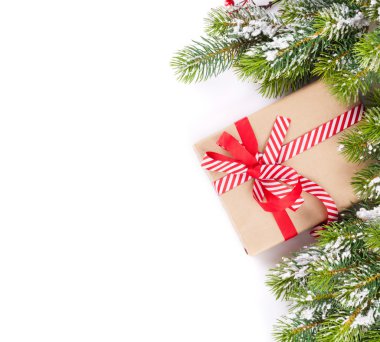 Hediye kutusu ile Noel ağacı dalı