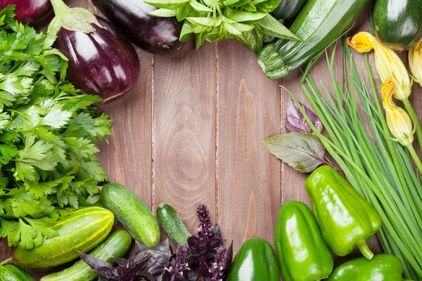 Agricultores frescos horta legumes e ervas — Fotografia de Stock