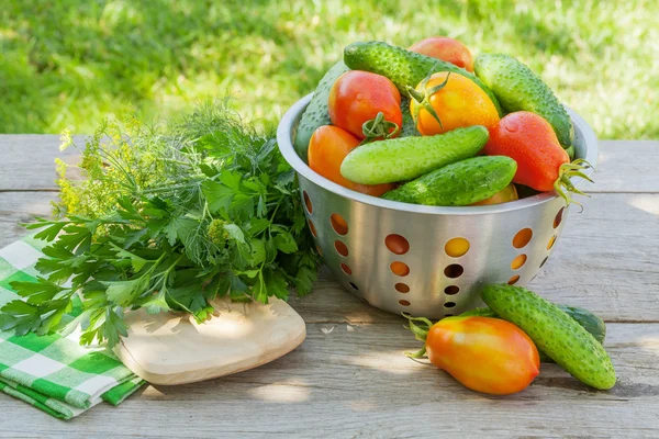 Verse rijpe groenten — Stockfoto