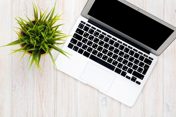 Mesa de escritório com laptop e planta — Fotografia de Stock