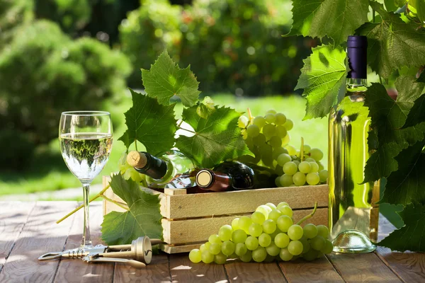 Wijn en druiven op tuinmeubelen — Stockfoto