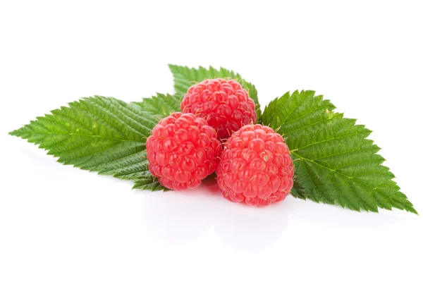 Three raspberries with leaves — Stock Photo, Image