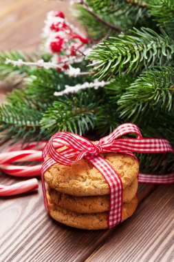 Noel gingerbread çerezleri, baston şekerler