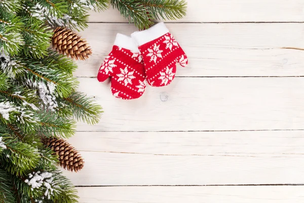 Christmas background with pine tree and mittens — Stock Photo, Image