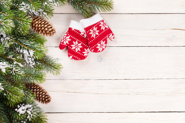 Christmas background with pine tree and mittens