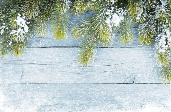 Textura de madera vieja con nieve y abeto —  Fotos de Stock