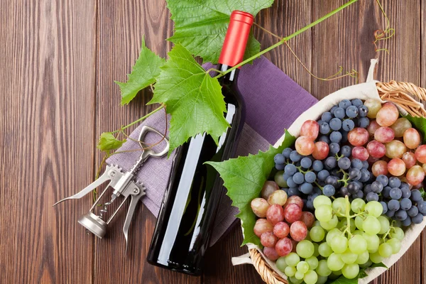 Bunches of grapes, red wine and corkscrew — Stock Photo, Image