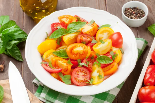 Fresh colorful tomatoes and basil salad — Stock Photo, Image