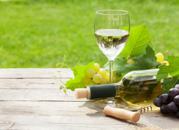 Vino blanco, vino botella y uvas —  Fotos de Stock