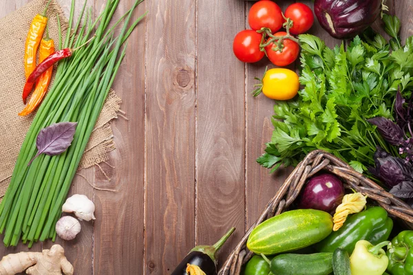 Agricultores frescos horta legumes e ervas — Fotografia de Stock