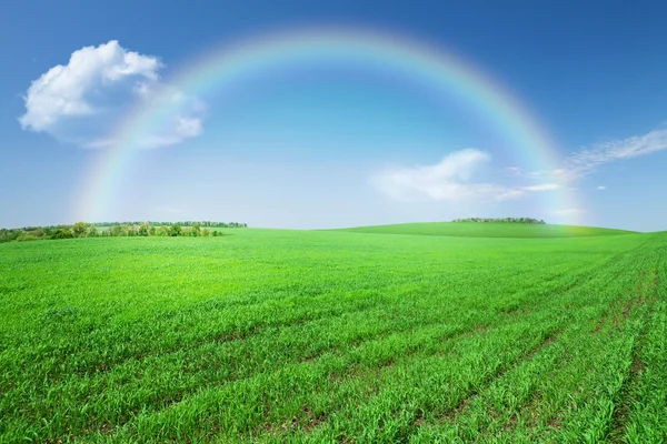 Zielone pola, Błękitne niebo z rainbow — Zdjęcie stockowe
