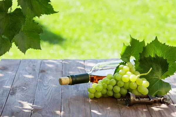 Witte fles wijn en witte druiven — Stockfoto